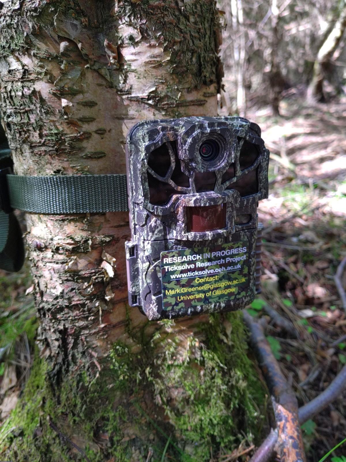 Camera trap for collecting data on the diversity and abundance of tick hosts 